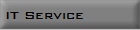 IT Service